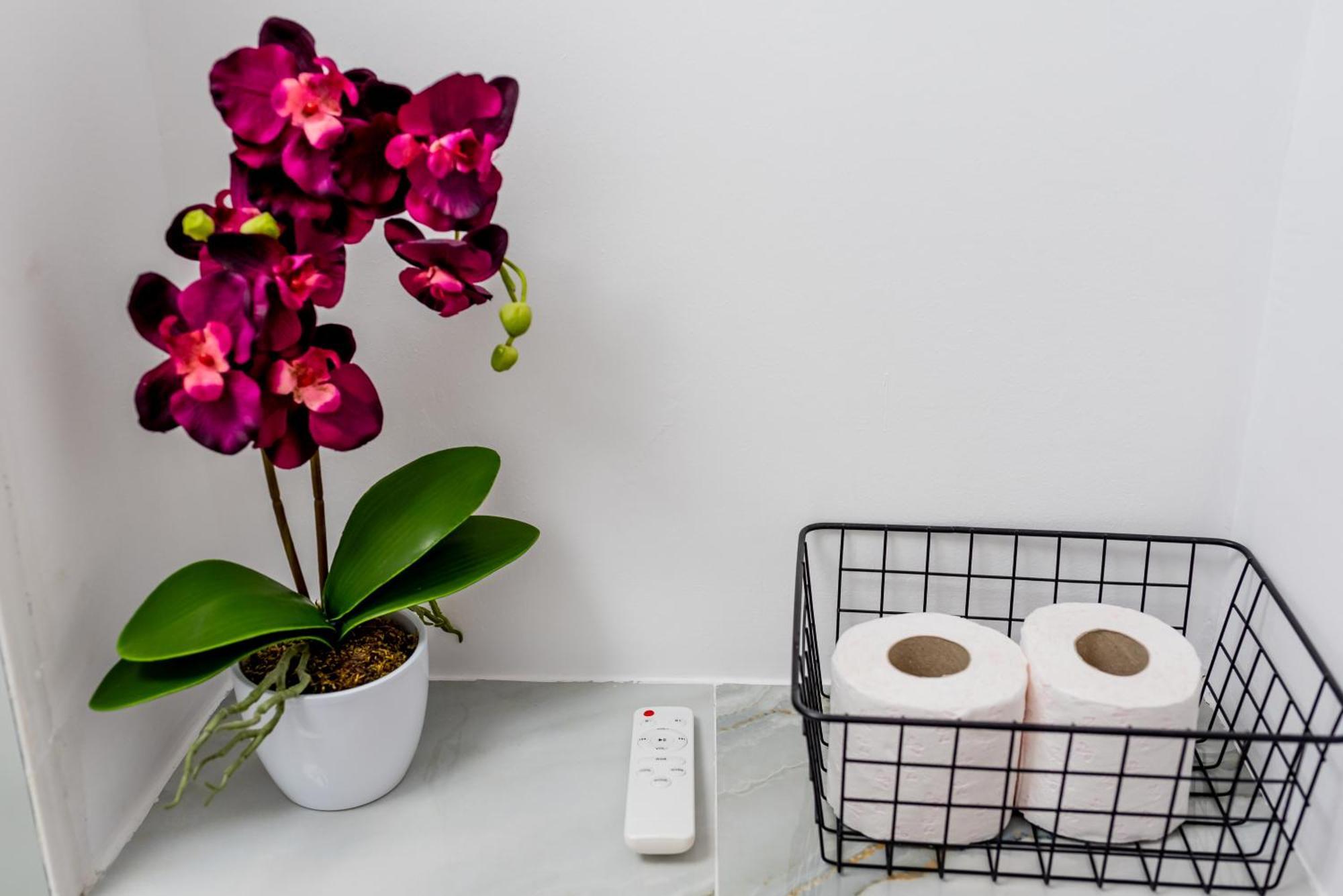 Lady-S Apartment Cluj-Napoca Ngoại thất bức ảnh